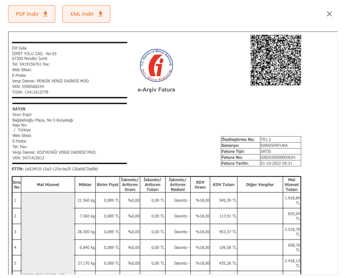 e-Arşiv Fatura Görüntüleme